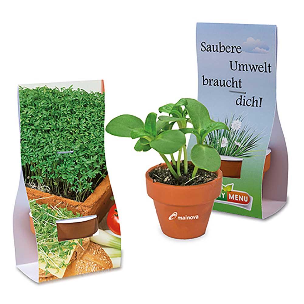 Logo-Töpfchen Überreichverpackung mit Samen - Gartenkresse