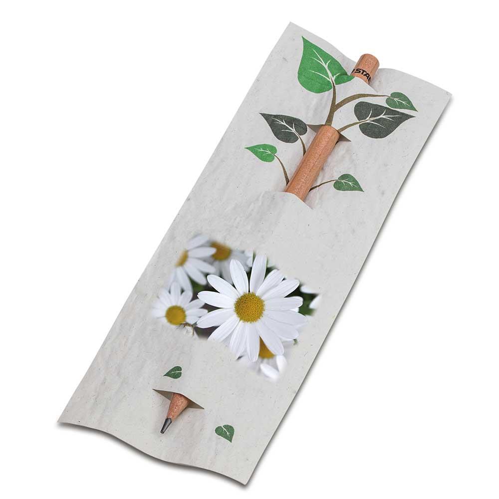 Bleistift im Samenpapieretui - Ostern - Margerite, Druck 4/4c, Lasergravur