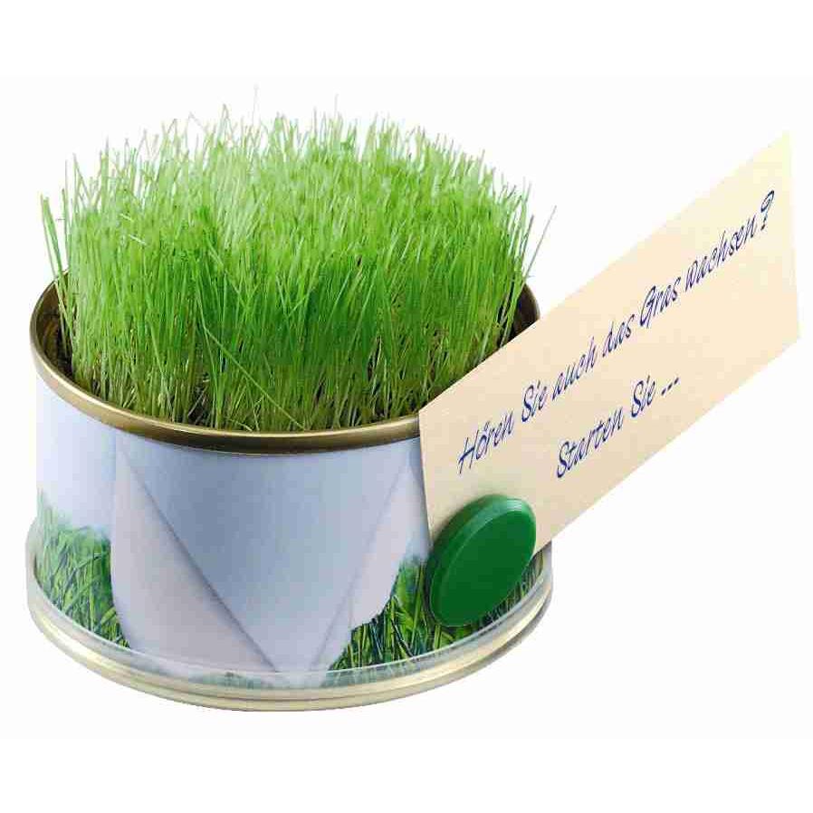 Minigarten Gras mit Magnet