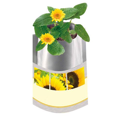 Plant-Bag Sonne