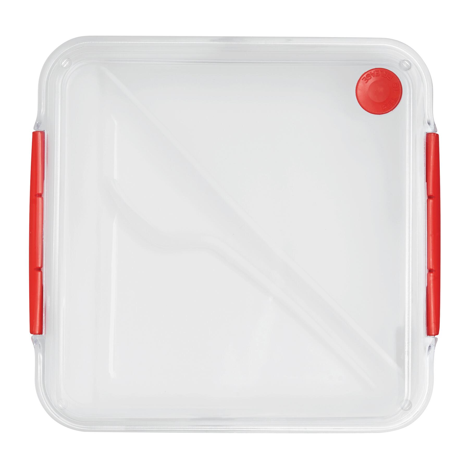 DELICIOUS - Lunchbox