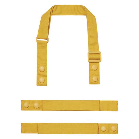 Mustard (ca. Pantone 2006C)