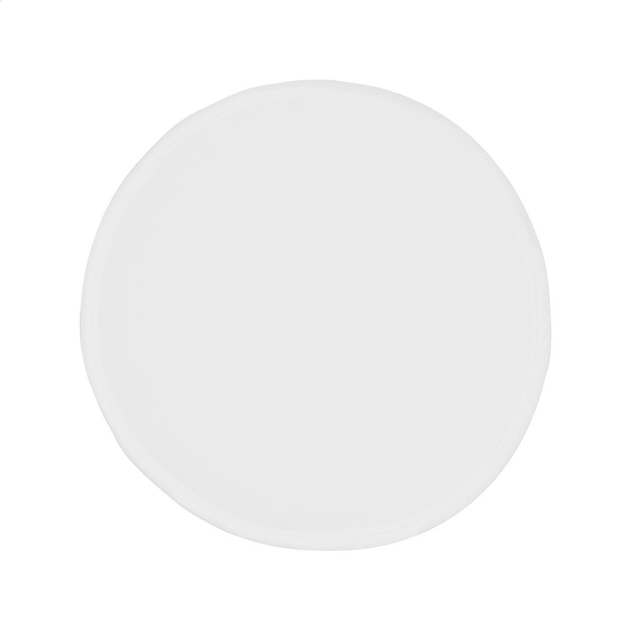Frisbee