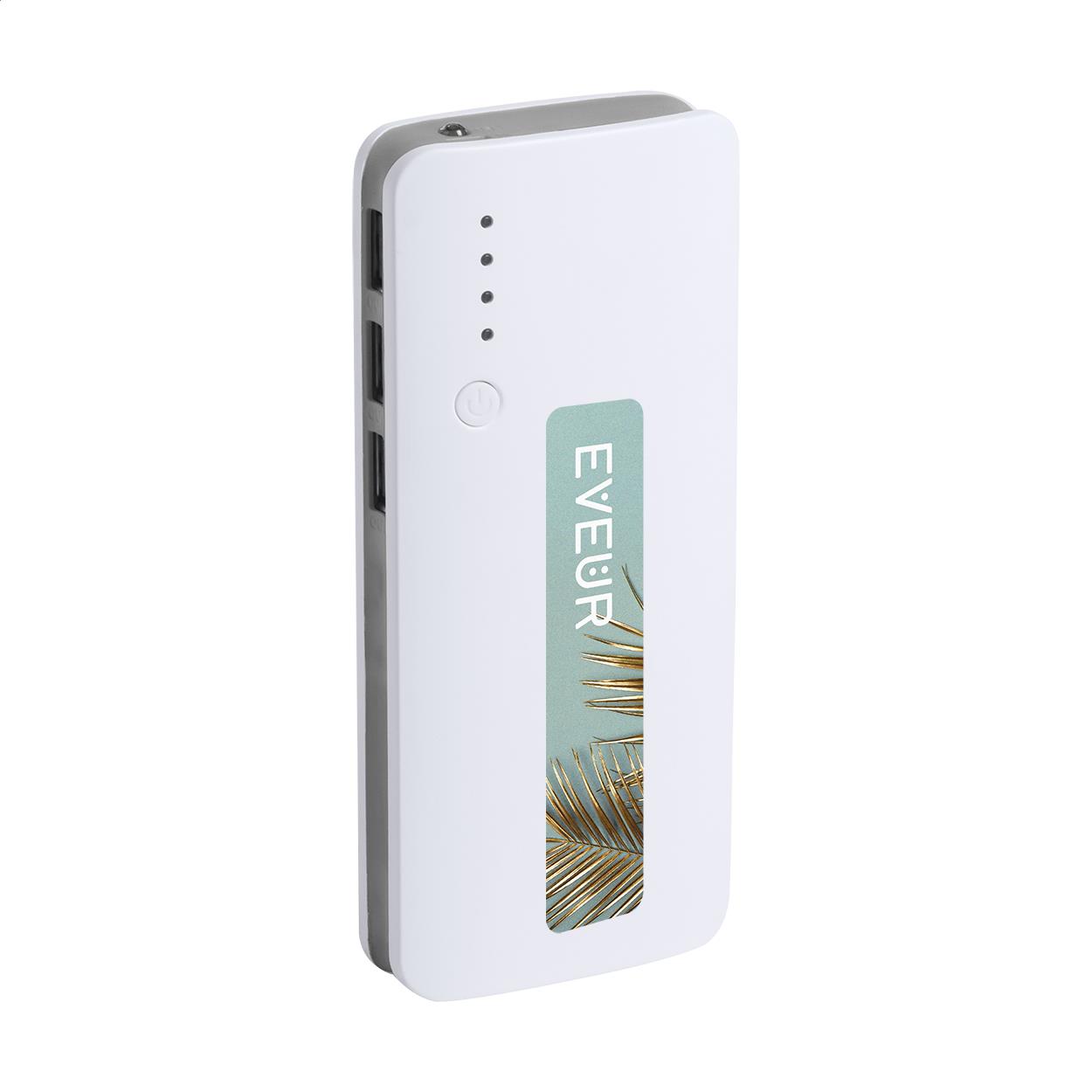 Powerbank