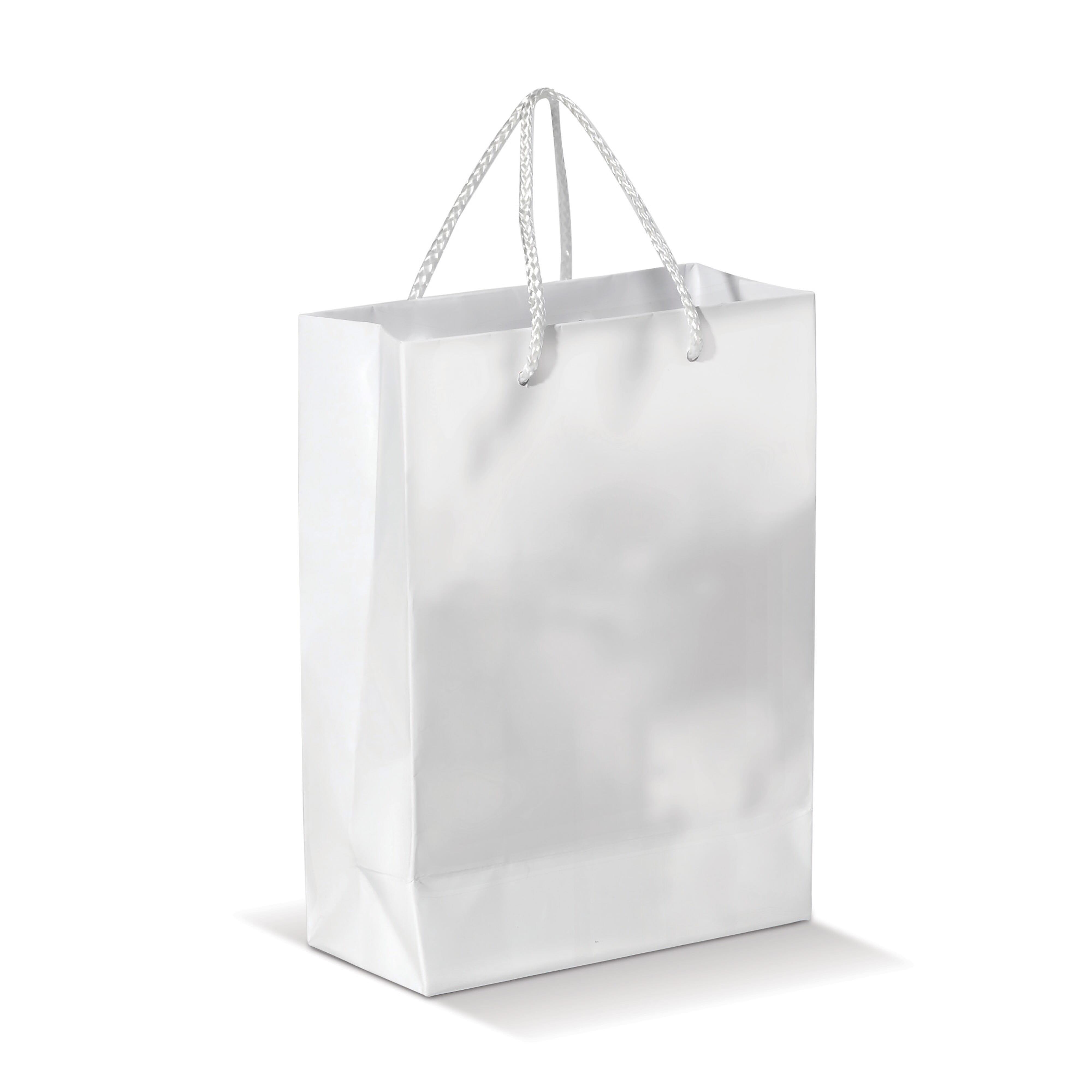 Laminierte Papiertasche, groß