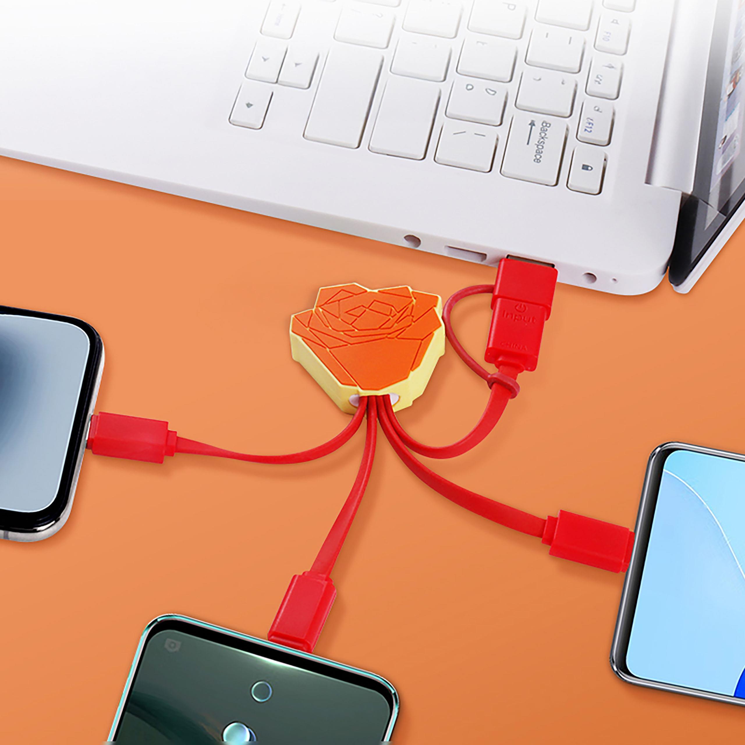5 in 1 Ladekabel in Sonderform