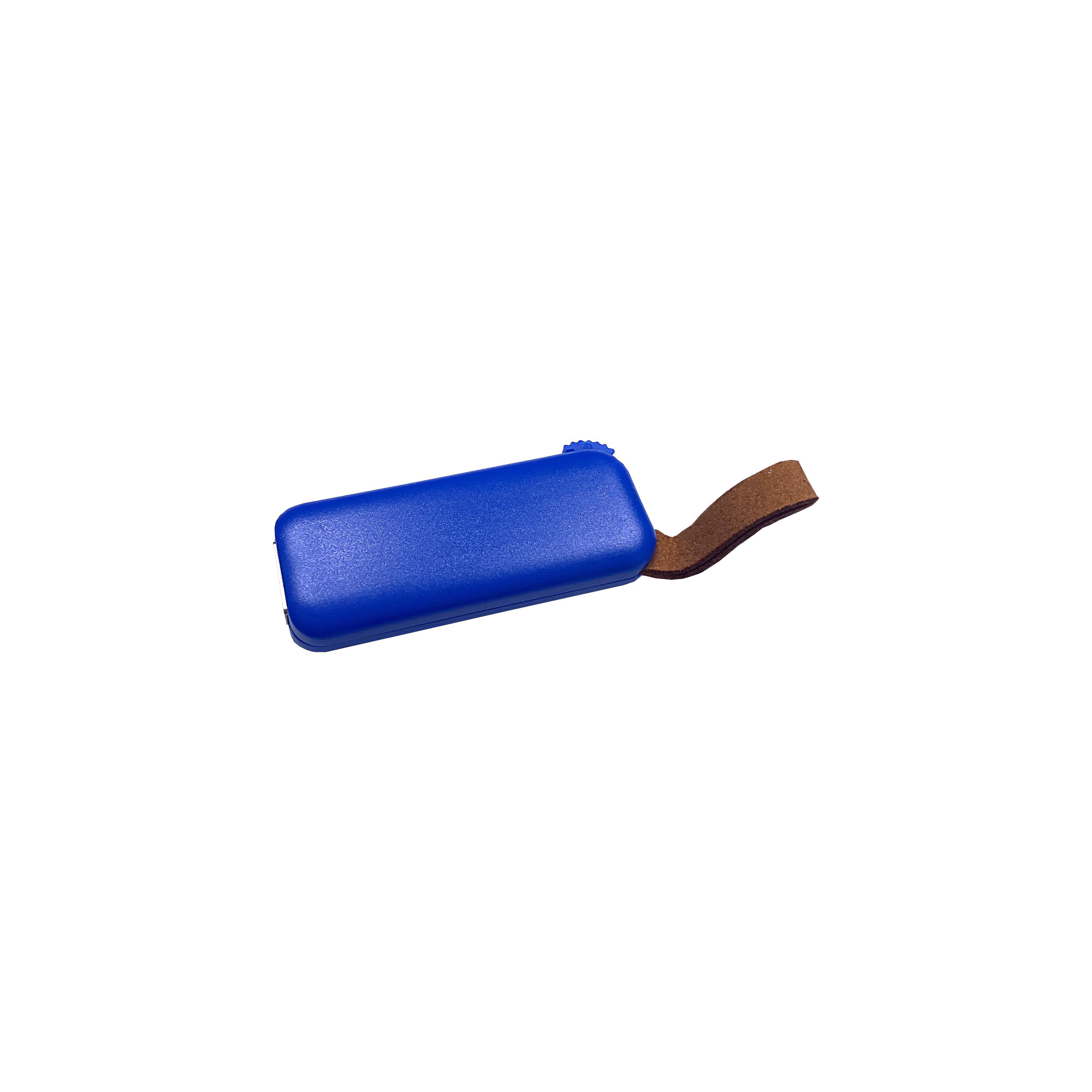 Modell F100 USB 2.0 Flash Disk   1 GB Blau