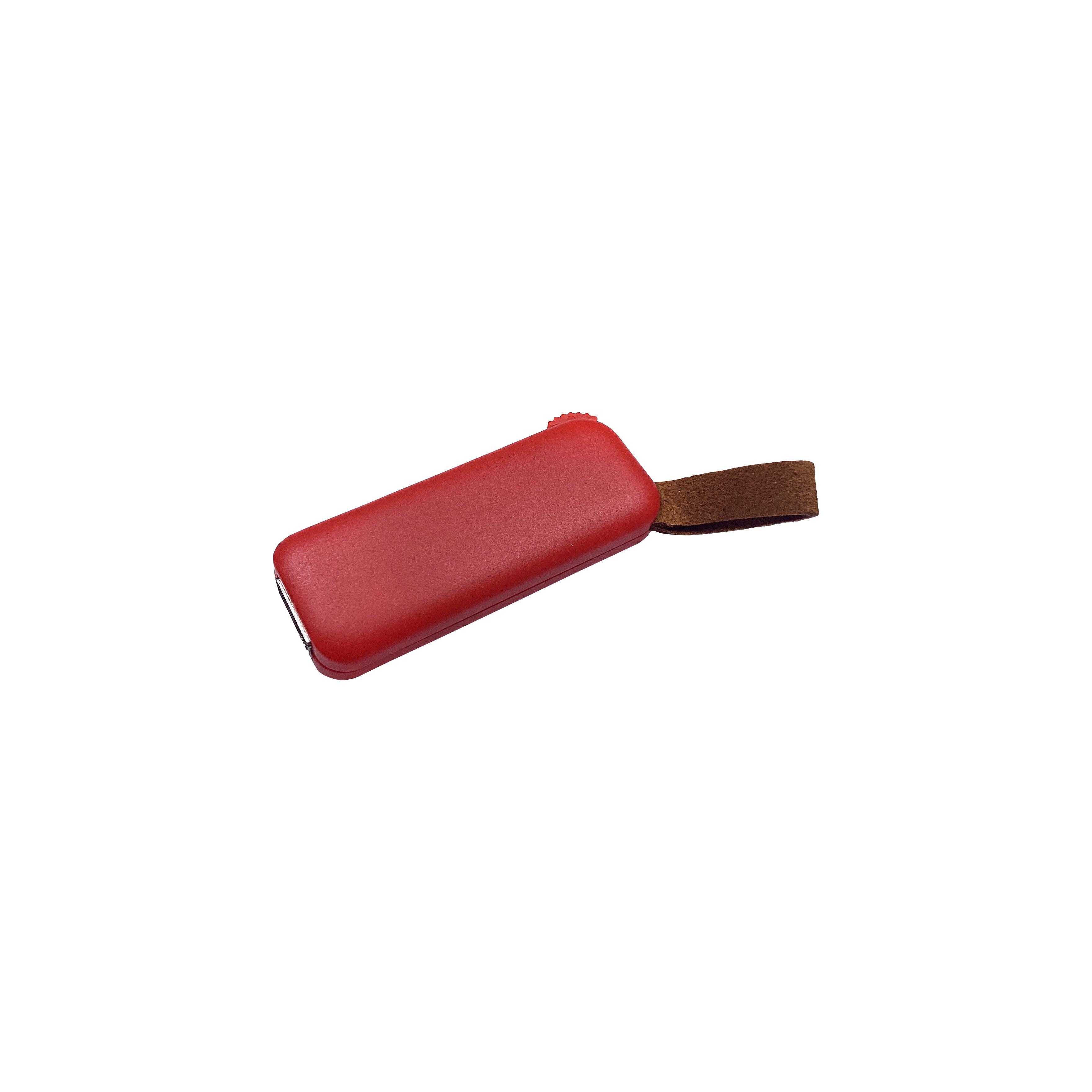 Modell F100 USB 2.0 Flash Disk  64 GB Rot
